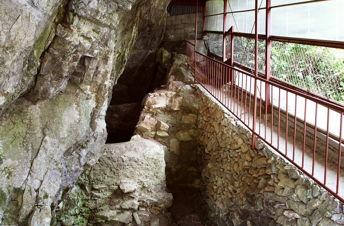 上黒岩遺跡考古館