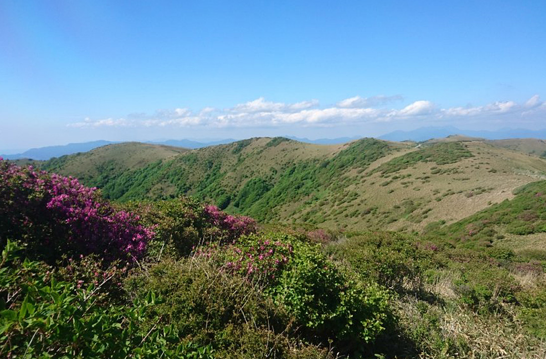 大川嶺